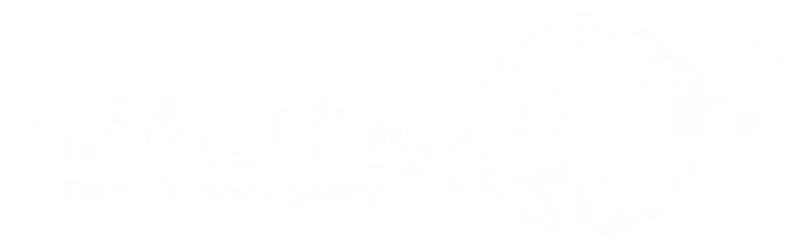 روشنی گشت