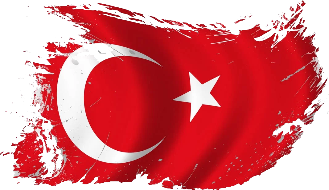 اهمیت زبان ترکی در ترکیه